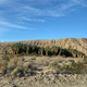 Illustration for article titled Taking A Guided Hummer Tour Of Joshua Tree Was A Highlight Of My Vacation